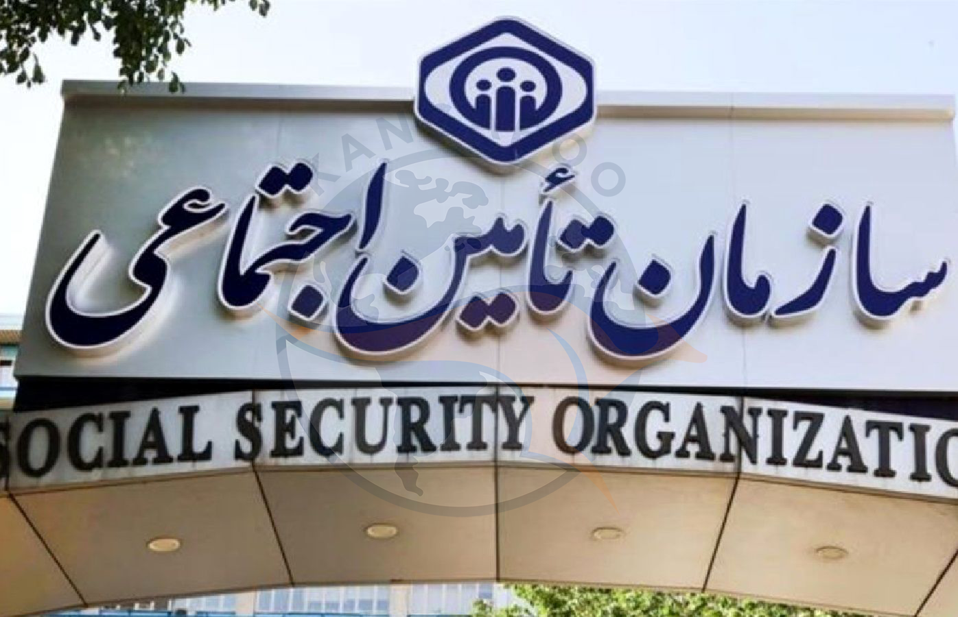 مدیرعامل سازمان تامین اجتماعی از