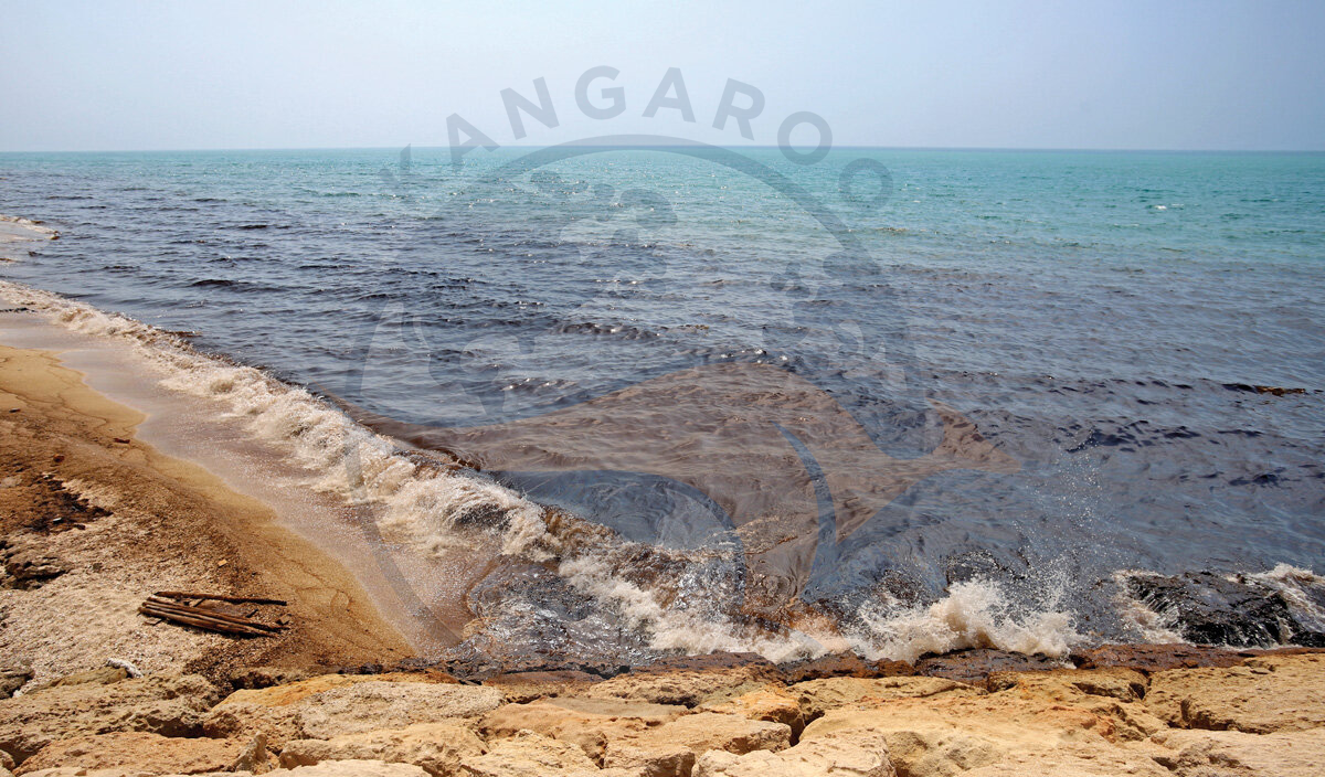 محیط زیست